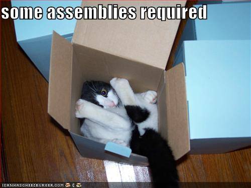 [assemblycat_duke.jpg]