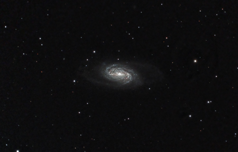 [NGC+2903+medium.jpg]