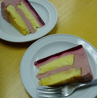 [Mirror+Cake+Slices.JPG]