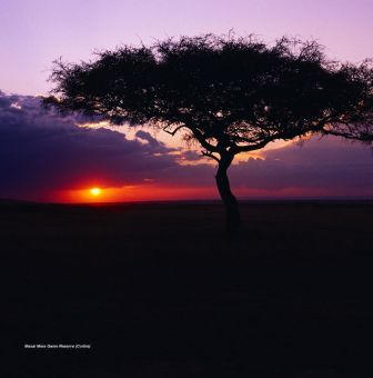 [Masai_Africa.jpg]