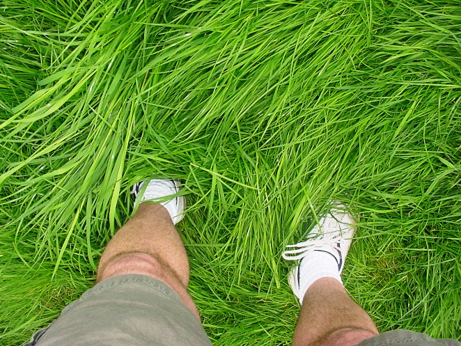 [8+-+Feet+In+Grass.jpg]