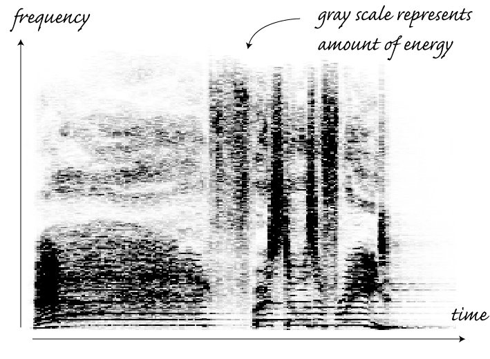 sonogram spectrogram voice
