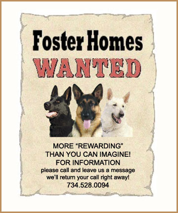 [WANTED!_gsd-fosters.jpg]