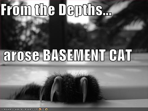 [funny-pictures-basement-cat-clw.jpg]
