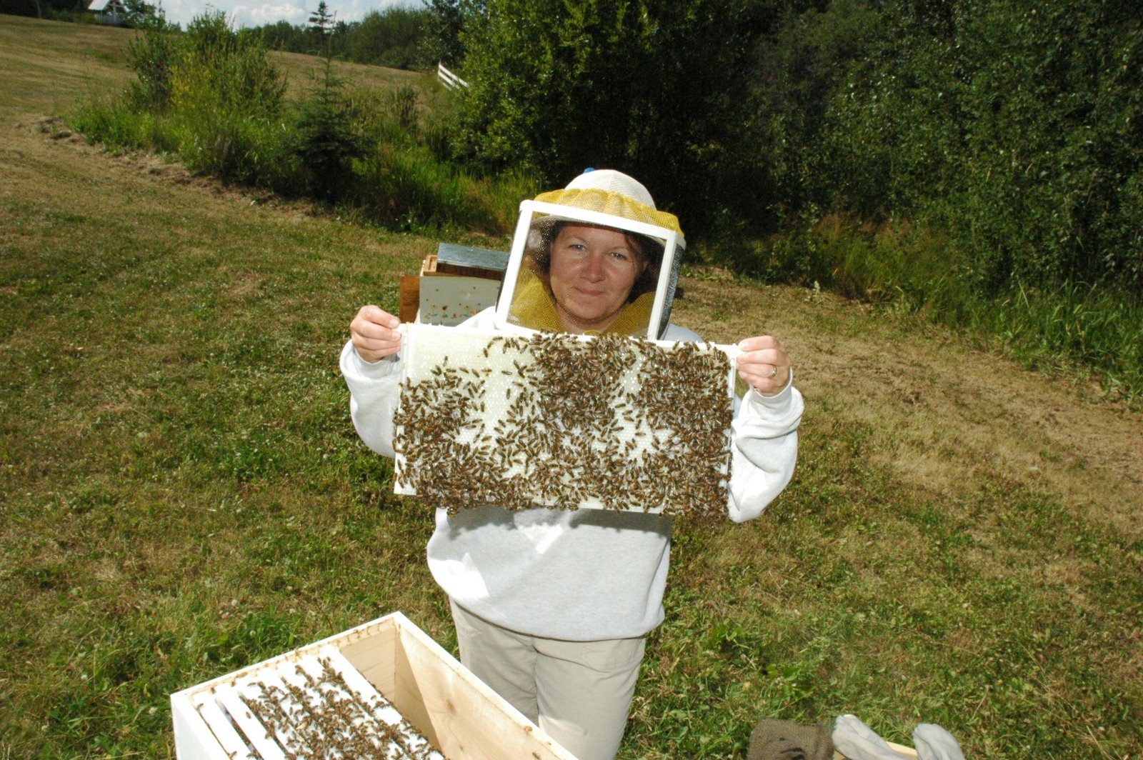 [me+and+my+bees.JPG]
