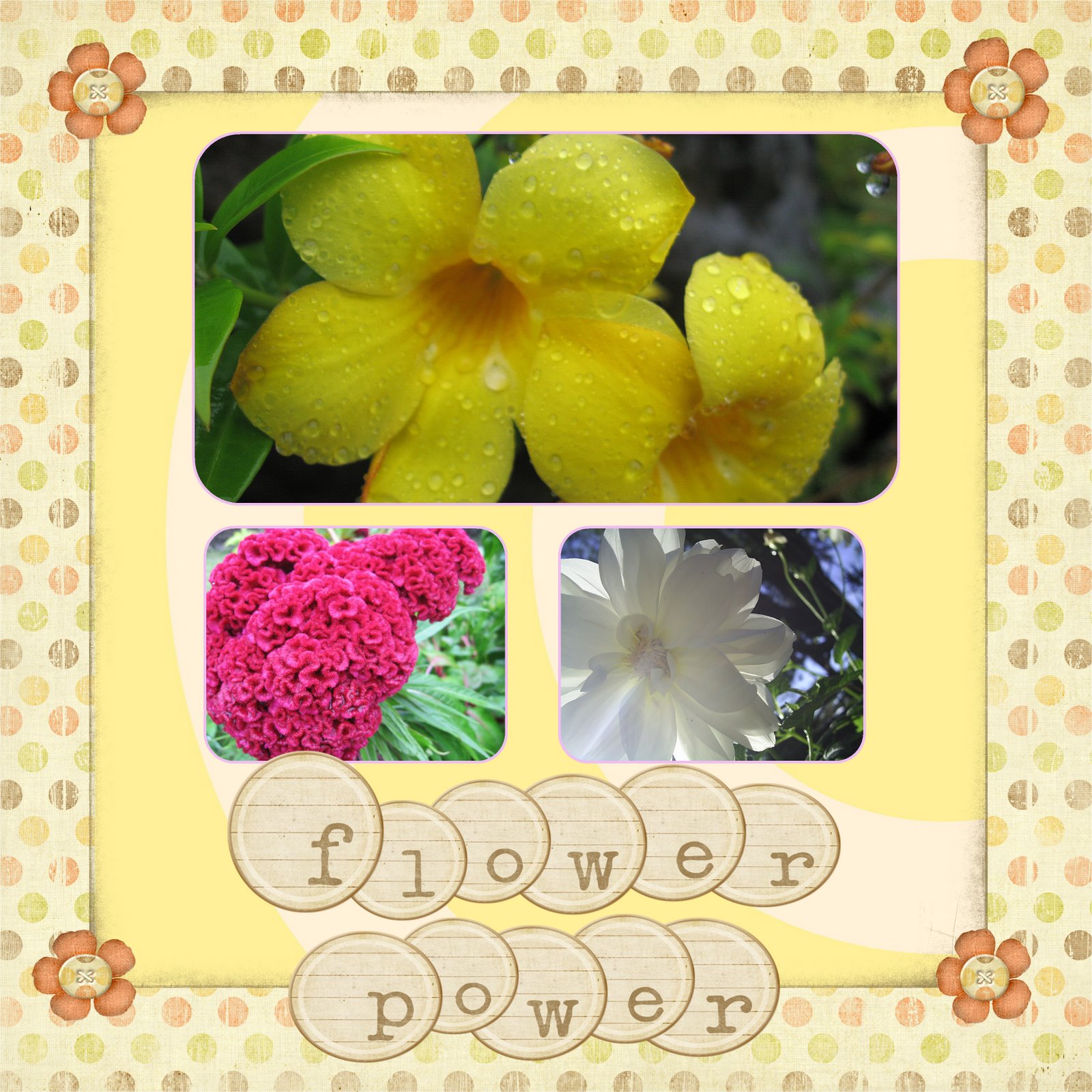 [flower+power.jpg]