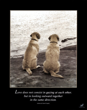 [love-dog-poster.jpg]