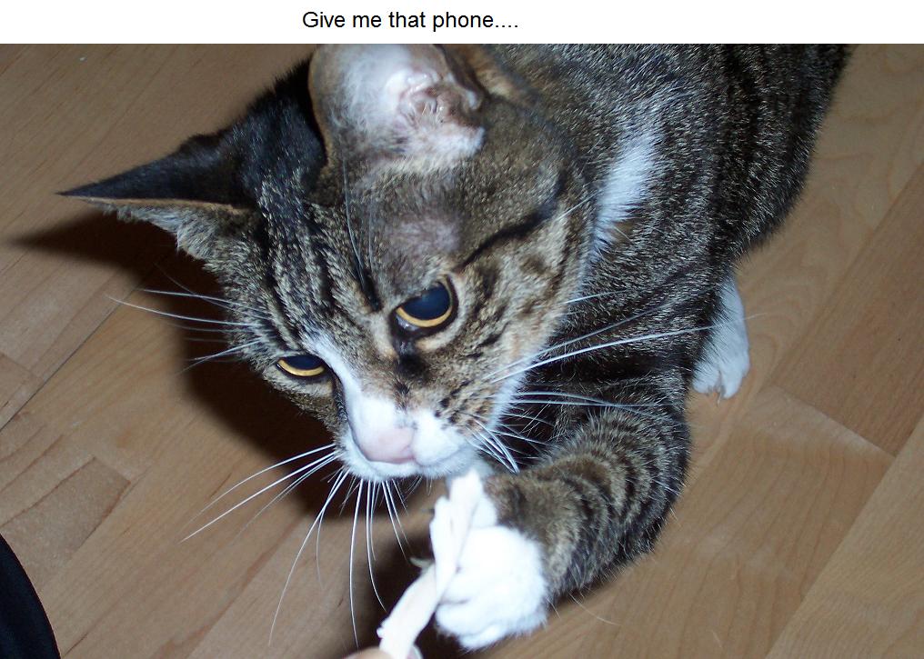 [Give+me+that+phone.JPG]