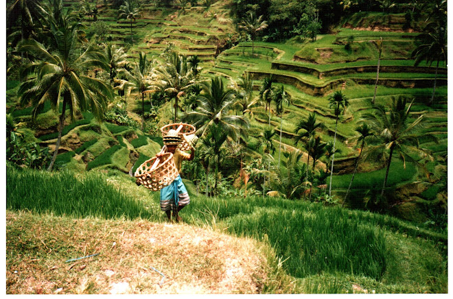Bali, 1995