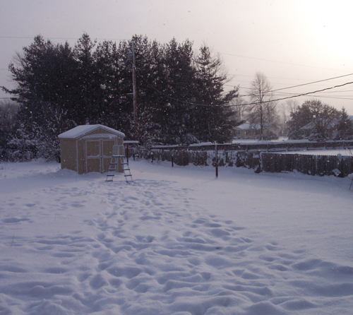 [morning+snow.jpg]