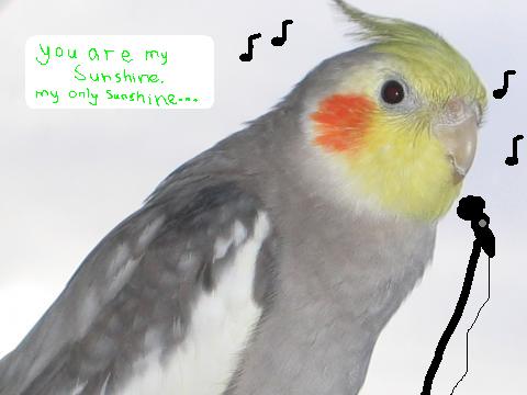 [Sunny+1+singing.JPG]