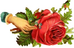 [hand+rose.jpg]