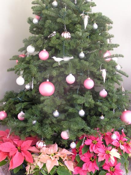 [Upstairs+Christmas+Tree+2.JPG]