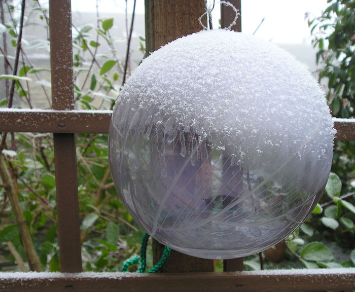 [frosted+ball.jpg]