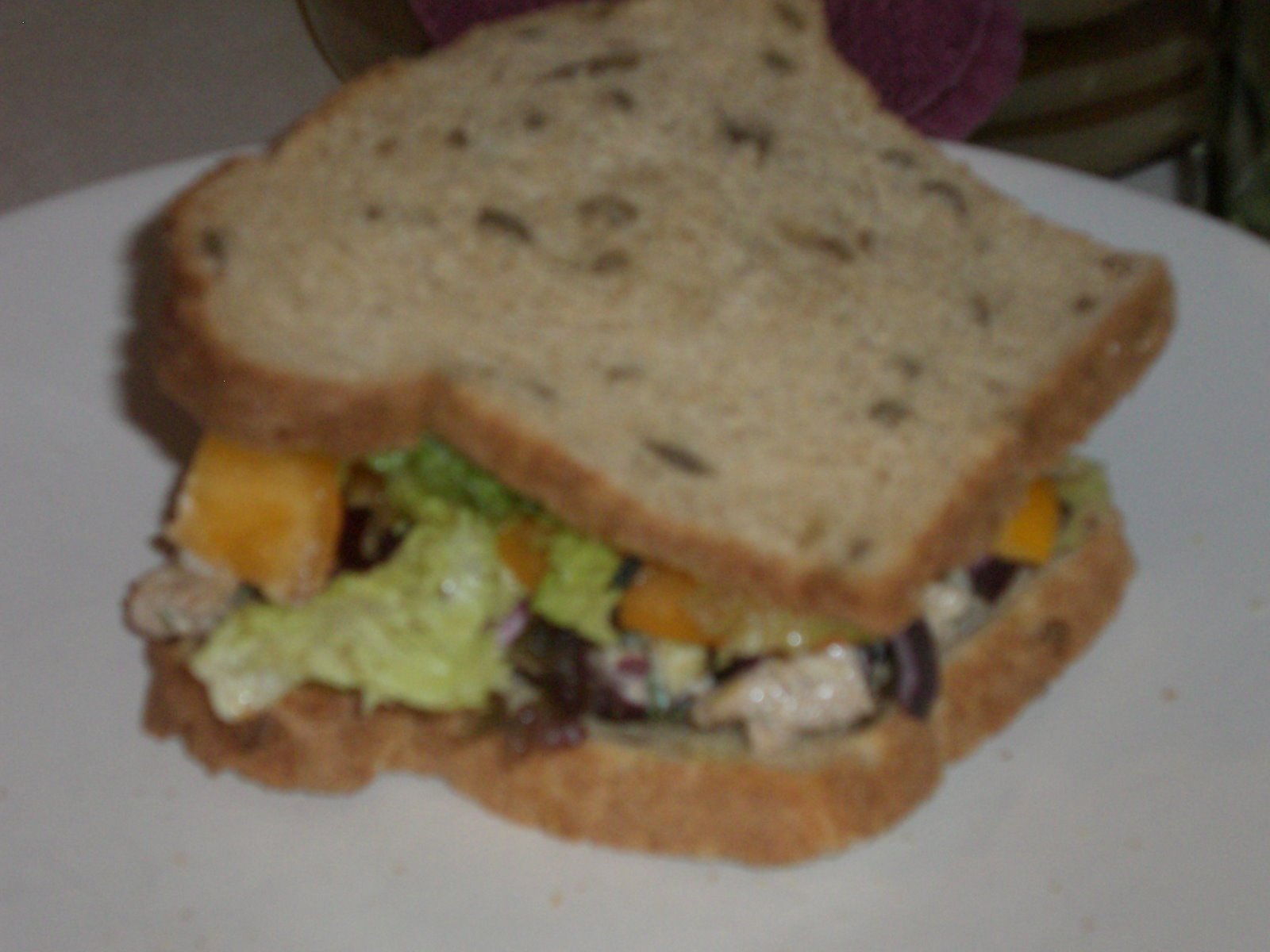 [seitan+salad+sandwich.jpg]