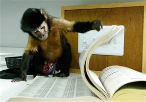 [Monkey+Reading+Me+A+Book.jpg]