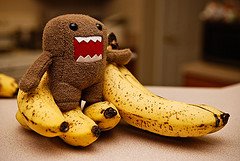 [bananas.jpg]