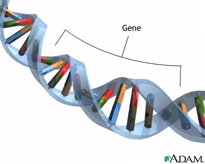 [9344-genes-picture.jpg]