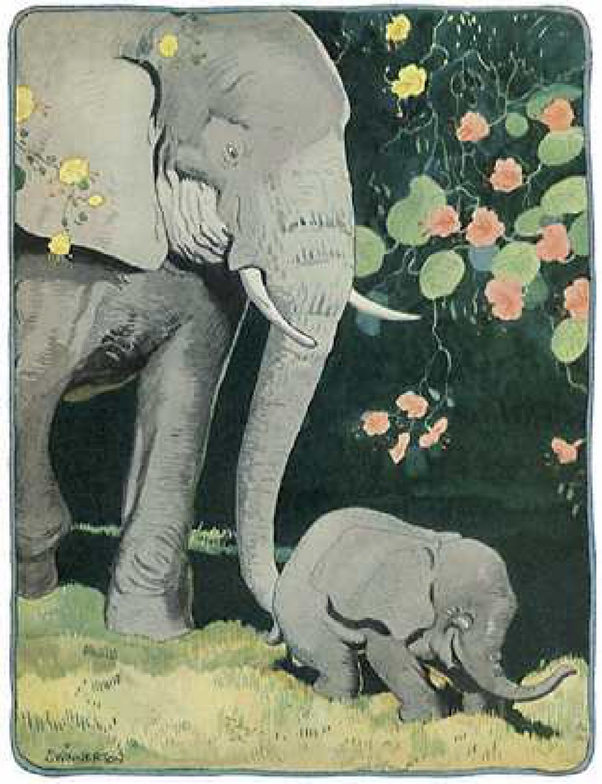 [Elephants.jpg]