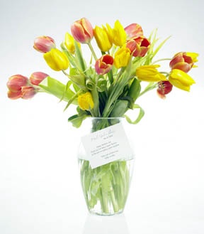 [Tulips-web.jpg]