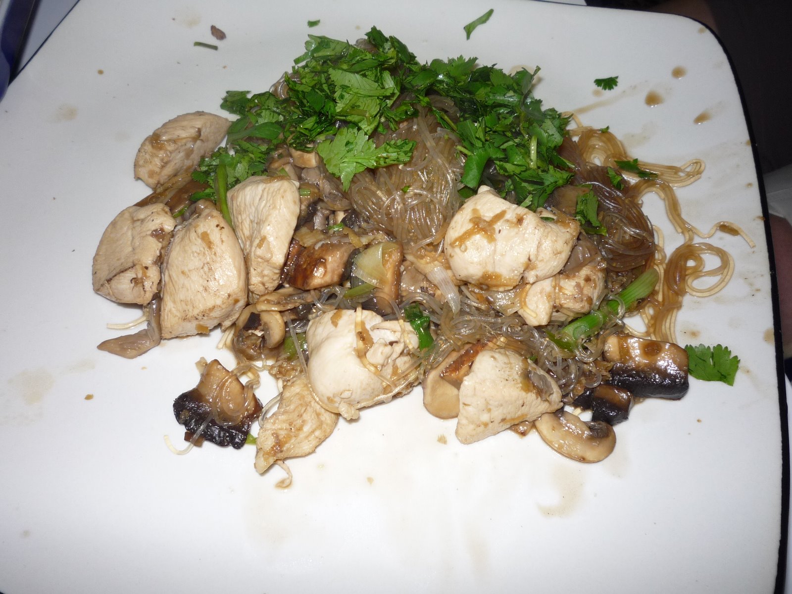 [Chicken+With+Mushrooms+&+Cellophane+Noodles.JPG]