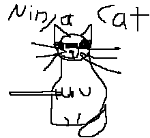 [ninja_cat.PNG]