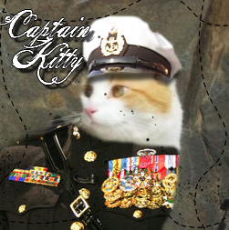 [CaptainKitty.png]