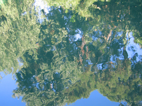 [Trees+Reflected+in+Water+Small.jpg]