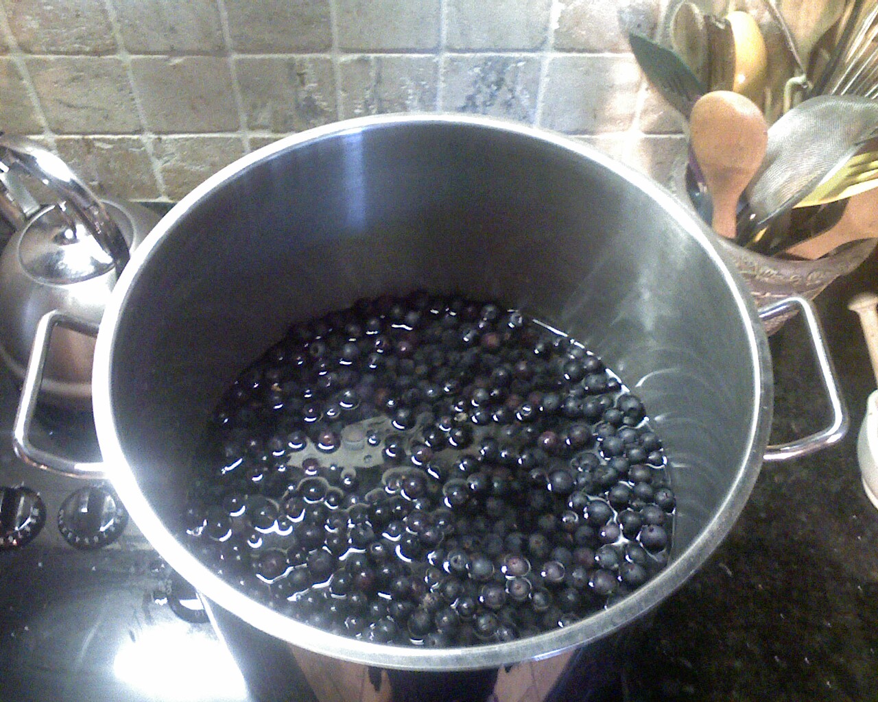 [Pot+of+Grapes.jpg]