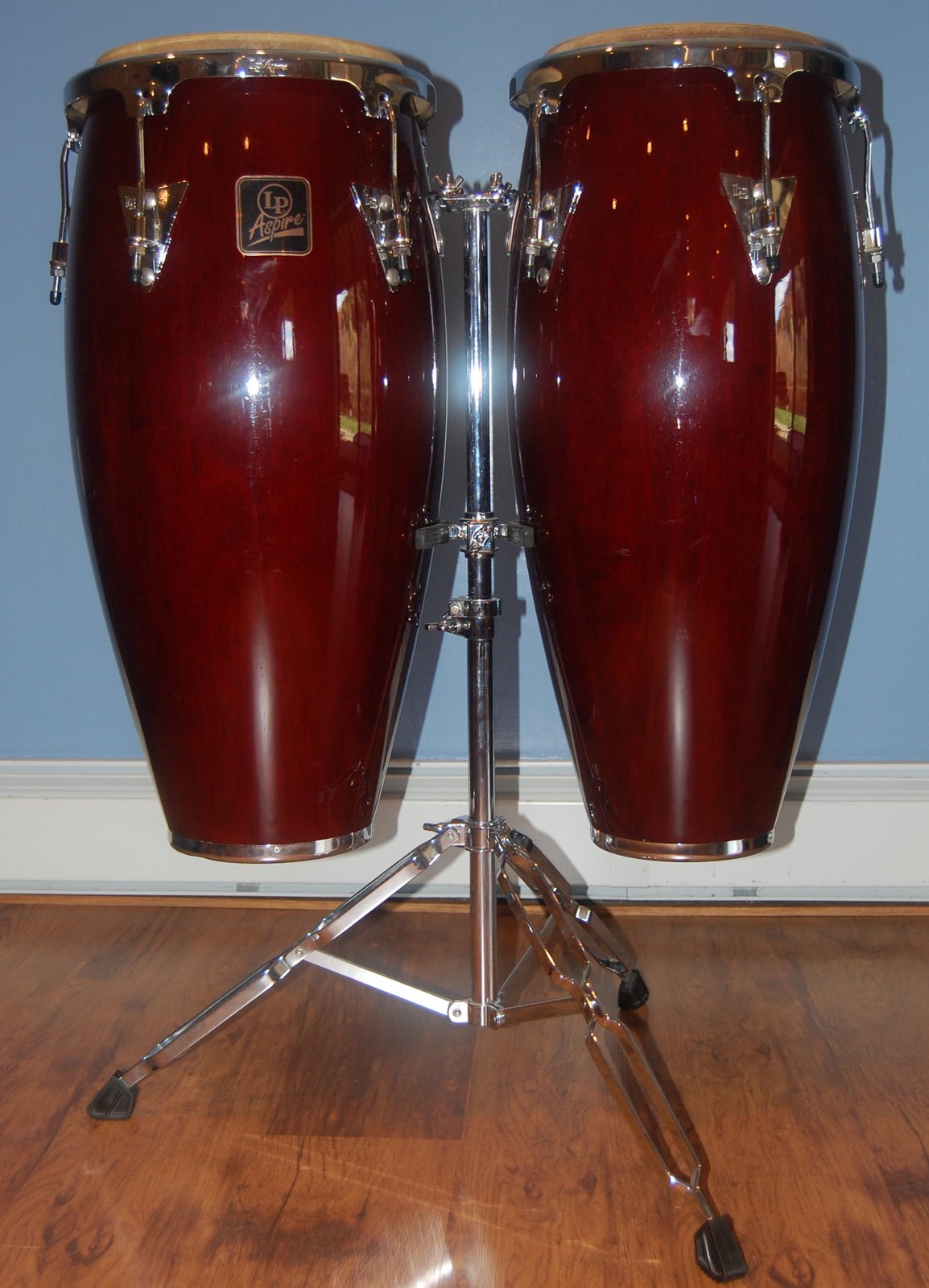 [bongo+drums.jpg]
