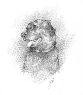 [dog.portrait.w.jpg]