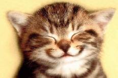 [gatito+sonriendo.jpg]