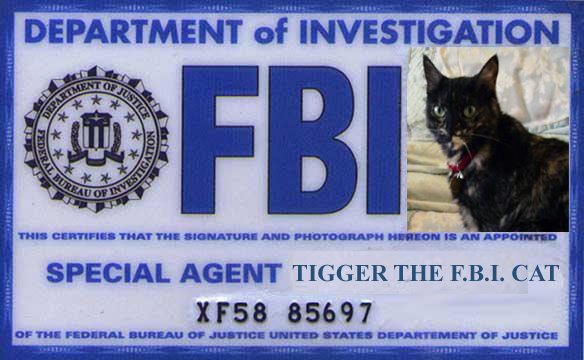 [FBI-Card+copy.jpg]