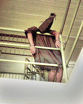 [Abu-Ghraib-Prison-Photos11jun04p09.jpg]