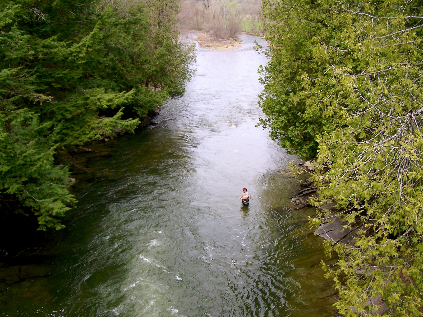 [Fly+Fishing+in+Willoughby+River+-+3.JPG]