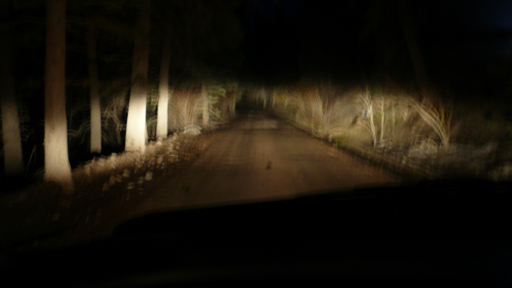 [Scary+Highway+126at+night.jpg]
