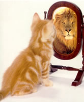 [lion_in_mirror.jpg]