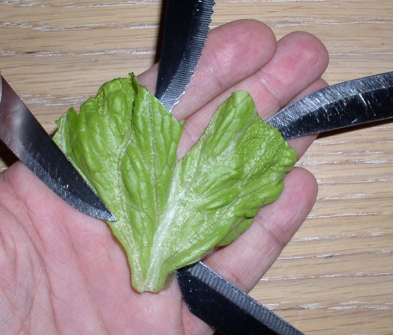 [heart+lettuce.jpg]