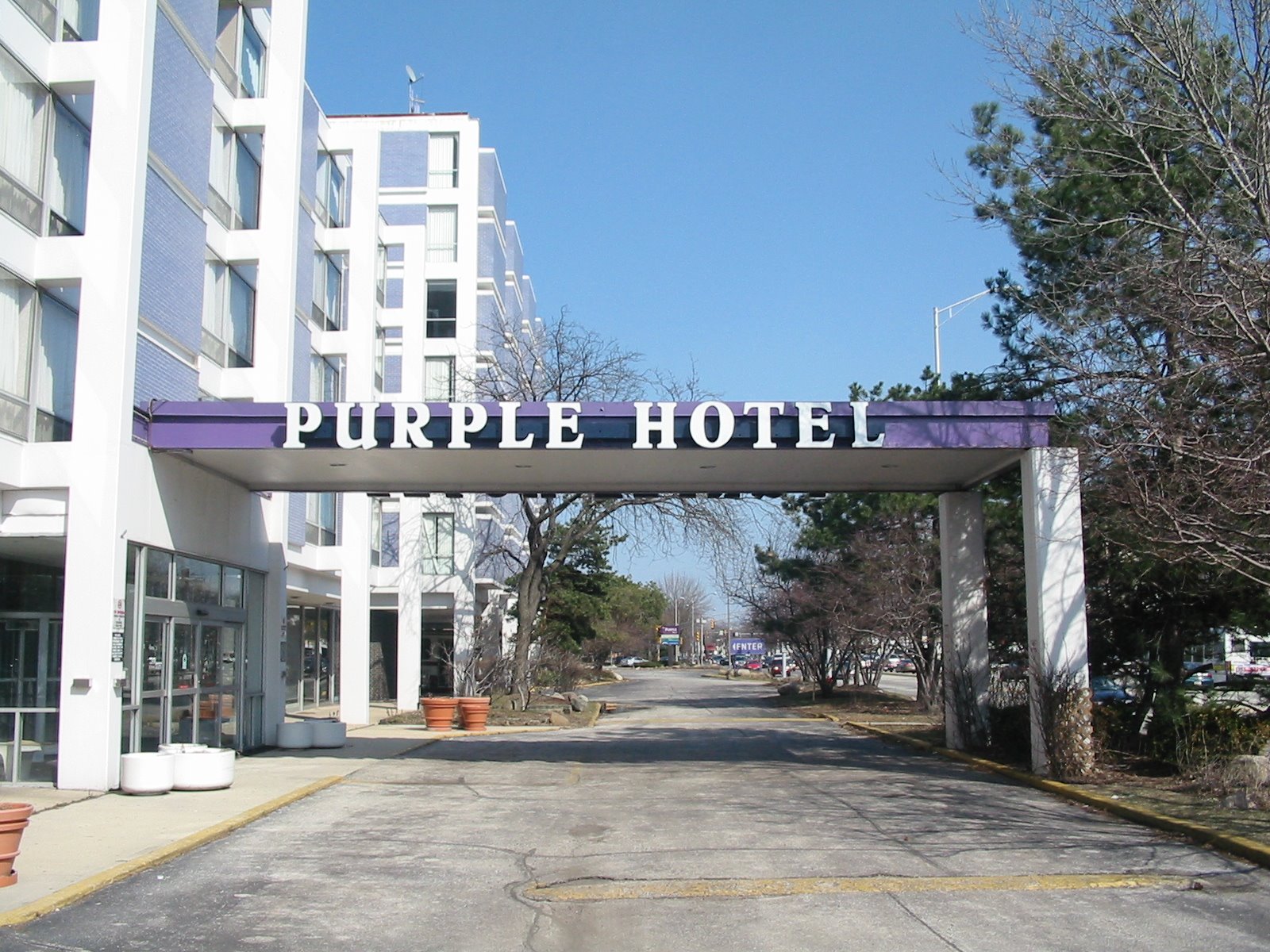 [Purple+Hotel+005.jpg]