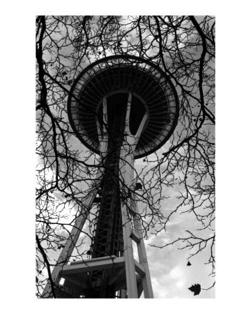 [Seattle-Space-Needle-Photographic-Print-C11900485.jpg]