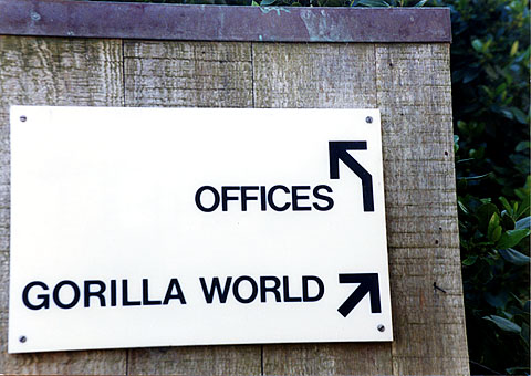 [gorilla_world.jpg]