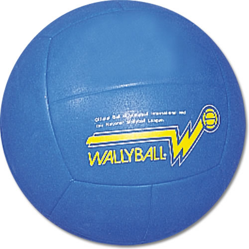[official-walleyball-ball.jpg]