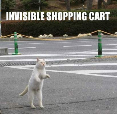 [invisible_shopping_cart_410.jpg]