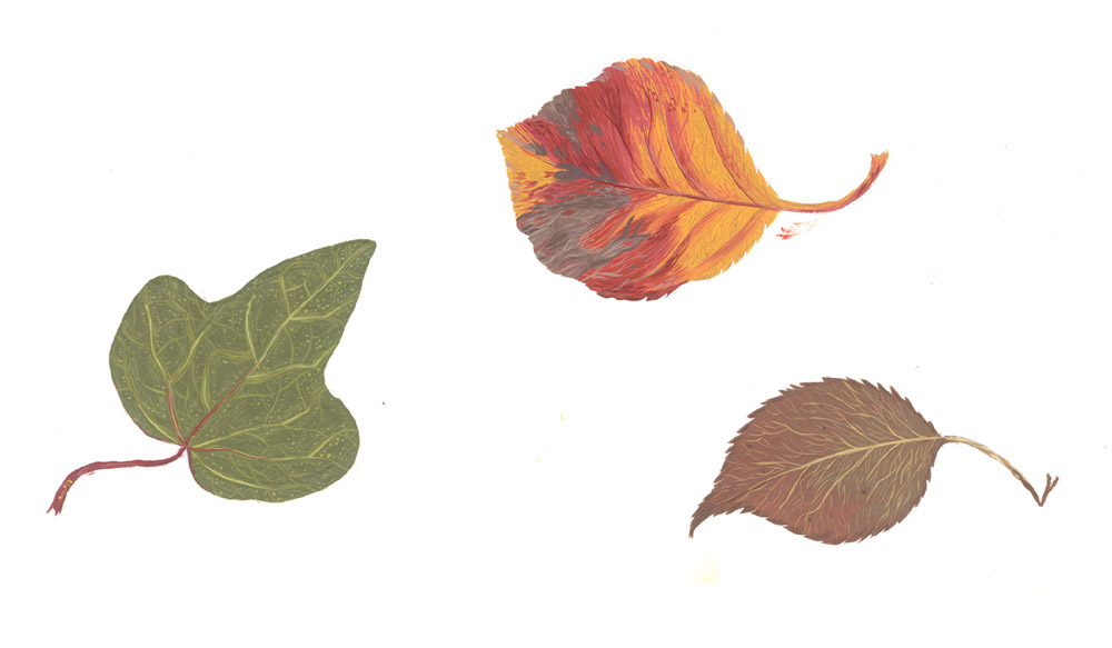 [three_leaves.jpg]