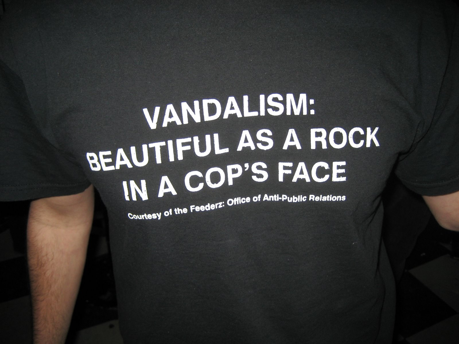 [vandalism+-+beautiful+as+a+rock+in+a+cops+face.jpg]