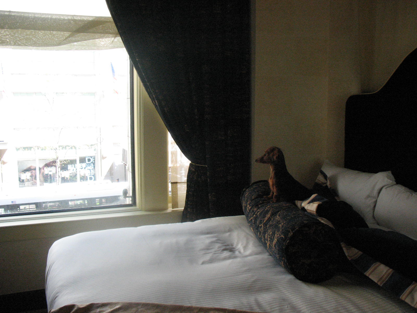 [hotel+bed+4.jpg]