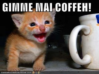 [catandcoffee.jpg]