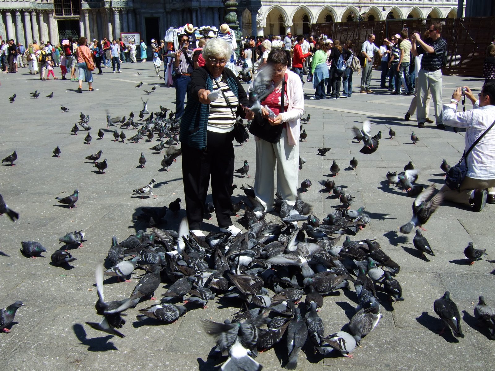 [Venice--ladies+w+pigeons.JPG]
