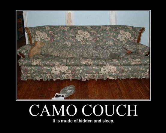 [motivation,+camo+couch.jpg]