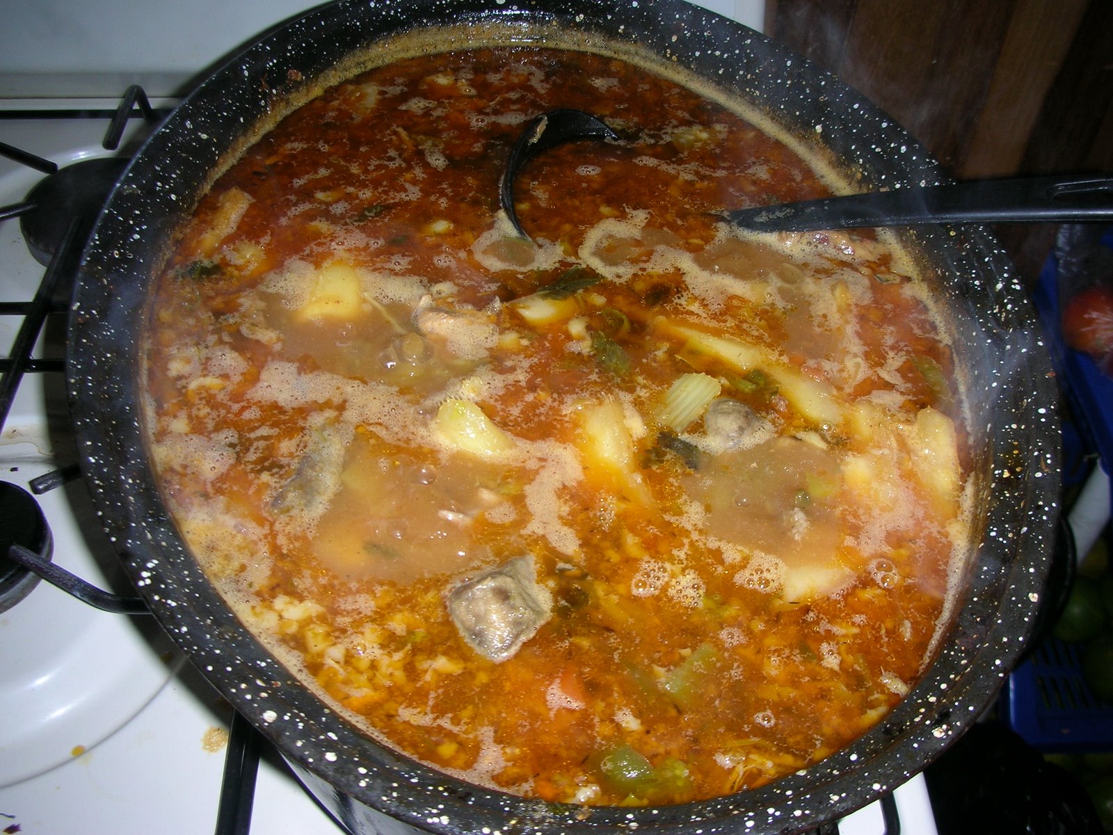 [stew.JPG]